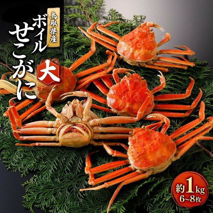 【ふるさと納税】＜11月中旬～12月上旬発送予定＞鳥取県産　ボイルせこがに大1kg(6～8枚)