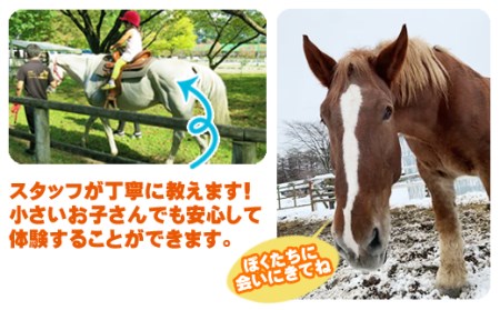 引馬体験 1回分 チケット 【馬っこパーク・いわて】／ ふれあい 引馬 引き馬 乗馬 体験 乗馬体験 馬 ホース ホースセラピー 動物 アニマル アニマルセラピー セラピー 癒し 体験チケット 観光 