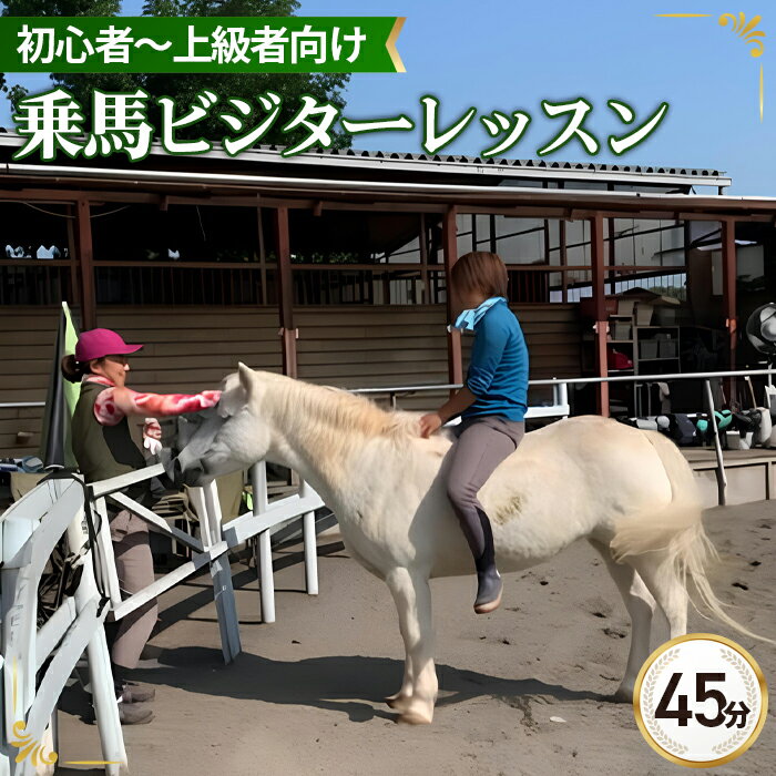 【ふるさと納税】乗馬 ビジター レッスン チケット 45分3回まで | 馬 うま 乗馬 体験 レッスン 自然 シエナ乗馬クラブ 埼玉県 狭山市