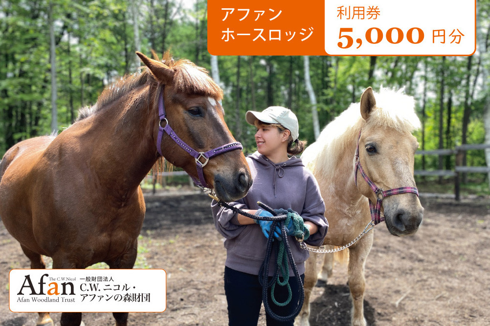 
                  「アファンホースロッジ」の二頭の馬、雪丸と茶々丸とのふれあい体験に使えるクーポン券　5,000円分 / 10,000円分　C.W.ニコル アファンの森 【長野県信濃町】
                