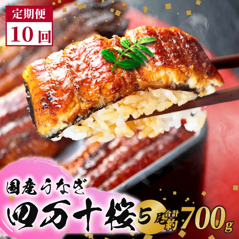 【通常用】【10回定期便】極上国産うなぎ四万十桜　蒲焼き約140g✕5尾|うなぎ 鰻 蒲焼き 定期便 国産 四万十鰻 白焼き 調理済み タレ付き 頒布会 ギフト（お歳暮/お正月）高級 お取り寄せ グル