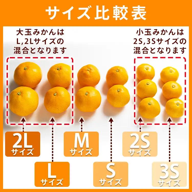 柑橘 山北みかん 大玉サイズ L・2L混合 約5kg 柑橘 yk-0079