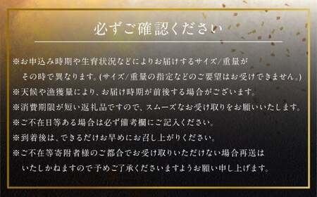 長崎の森で育てた『幻のクエ』昆布〆 刺身用  5～6人前 (1kg～2kg前後) ／ 魚 海鮮 魚介類 高級魚 クエ  刺身 刺し身 頭付き 長崎県 長崎市