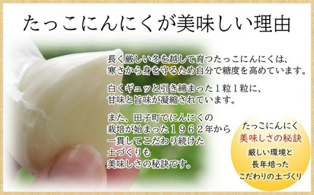 日本一ブランドたっこにんにくLサイズ15玉（青森県田子町産にんにく）