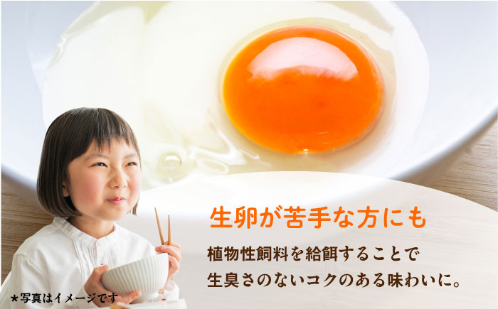 餌にこだわった三浦半島産赤たまご　30個　【横須賀商工会議所　おもてなしギフト事務局（岩沢ポートリー）】 [AKET004]