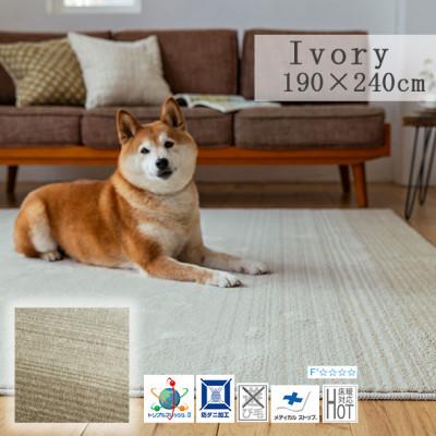 ふるさと納税 和泉市 【190×240cm】ペットと一緒に 過ごせる ラグ (マールII) カラー:アイボリー