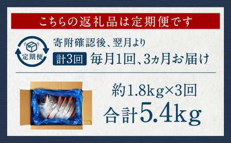 【 訳あり 】【 3ヶ月 定期便 】厚切り 銀鮭切身 約 1.8kg ×3回 合計約5.4kg 銀鮭 鮭 サケ 切り身 魚 魚介 しゃけ