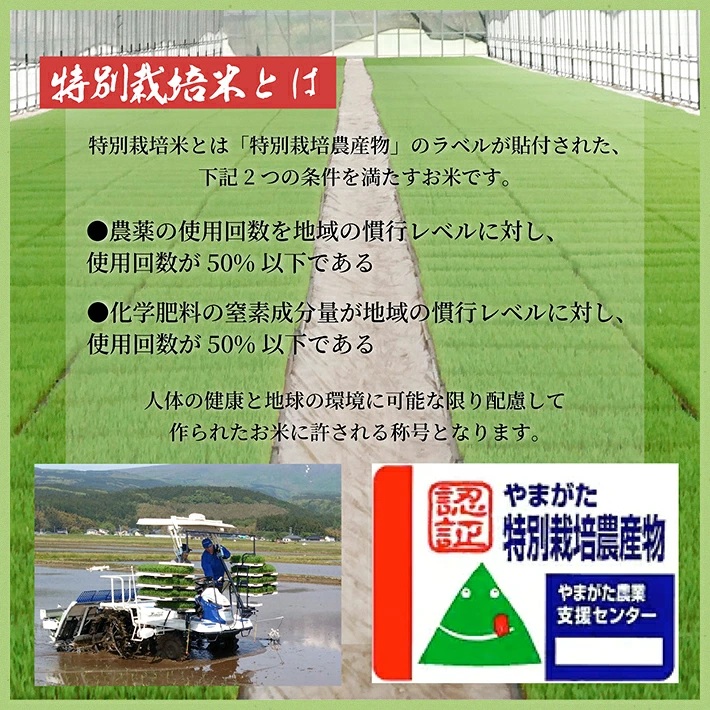 特別栽培米 はえぬき 5kg 玄米 令和7年産 山形県産 東北 山形県 遊佐町 庄内地方 米 お米 庄内米 ご飯 ごはん 産地直送 農家直送