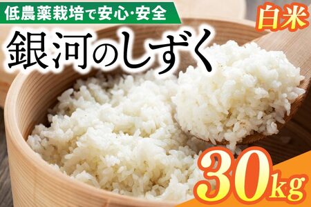 【新米】令和6年産 銀河のしずく 30kg (精米) 低農薬栽培米 生産者直送 (EI005)