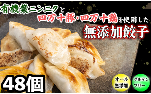 有機 葉 ニンニク と 四万十 豚 で作った 最高級 餃子 （ 6個入り x 8パック ）ぎょうざ ギョウザ にんにく 高知 野菜