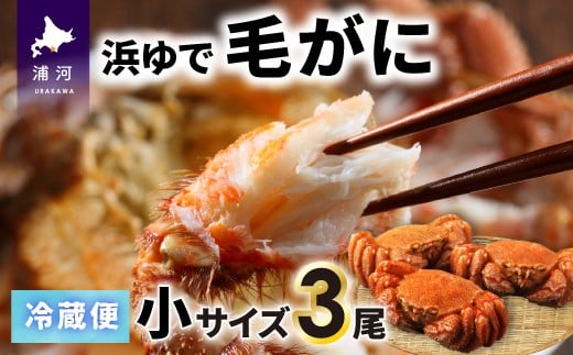 
                  【今が旬！】漁協の浜ゆで毛がに 小サイズ３尾セット※日付指定対応不可※[02-1201]
                