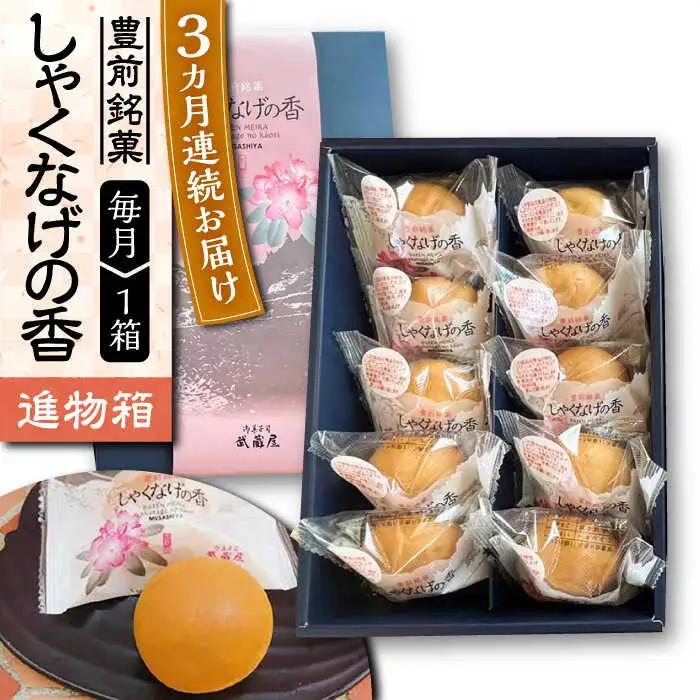 【全3回定期便】【進物箱】しゃくなげの香 10個 VBU020 白餡をカステラ饅頭の生地で包み焼き