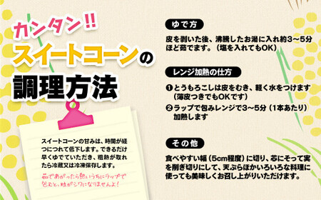2026年初夏発送　朝どれ西都市産スイートコーン　ゴールドラッシュ約7kg＜1-9＞＊