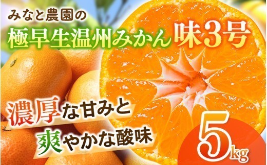 【数量限定】みかん みなと農園の味3号 温州みかん  約5kg 2S～Lサイズ混合 | みかん ミカン 蜜柑 温州みかん 温州ミカン 柑橘 フルーツ 果物 くだもの 甘い 旬 人気 果汁 濃厚 ジューシー デザート 産地直送 農家直送 みかん 国産 お取り寄せ 三重みかん 期間限定 先行予約 みかん おすすめ 三重県 熊野市 【2026年10月中旬頃〜順次発送】【mntf0005】