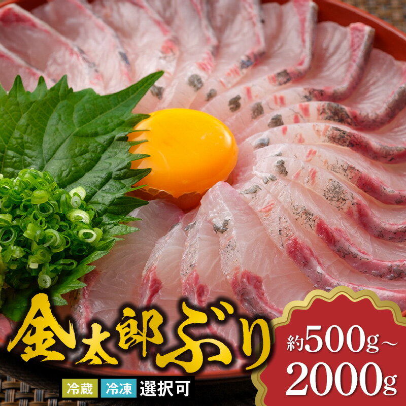 【ふるさと納税】宮崎産 金太郎ぶり 選べる 内容量 500g ～ 2000g 新海屋 鰤屋金太郎 スキンレスロイン 皮引き済み 深い 味わい ぷりぷり 冷蔵 冷凍 選択可 国産 鰤 刺身 魚 照り焼き ぶり大根 ぶりしゃぶ 海鮮丼 おつまみ 鮮魚 食品 宮崎県 延岡市 お取り寄せ 送料無料
