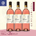 【ふるさと納税】 3本セット かみのやま メルロー&カベルネ ロゼワイン サントリー 750ml F2Y-3822