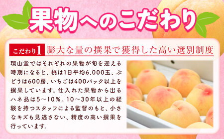 【2026年先行予約】桃 もも 岡山白桃 3玉(800g以上) 岡山県産 環山堂株式会社《2026年7月上旬-8月上旬頃出荷》岡山県 浅口市 白桃 果物 フルーツ 送料無料