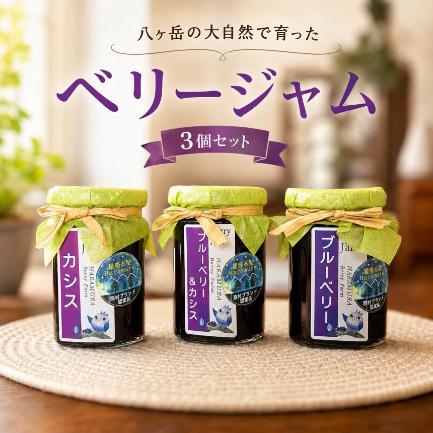 【ふるさと納税】 八ヶ岳 の大自然で育った ジャム 3個 セット ( ブルーベリー ・ ブルーベリー＆カシスMIX ・ カシス ) | パン トースト ヨーグルト 甘い 農薬不使用 安心 信州 八ヶ岳 長野県 諏訪郡 原村