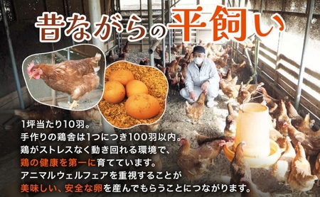 埼玉県蓮田市 平飼い卵 30個入 Lサイズ 玉子 新鮮 濃厚 コク 卵黄 鶏卵 タマゴ ギフト 卵セット 贈り物 プレゼント 食品 食材 朝ごはん 家族 団らん 朝食 昼食 ランチ 贅沢 お弁当