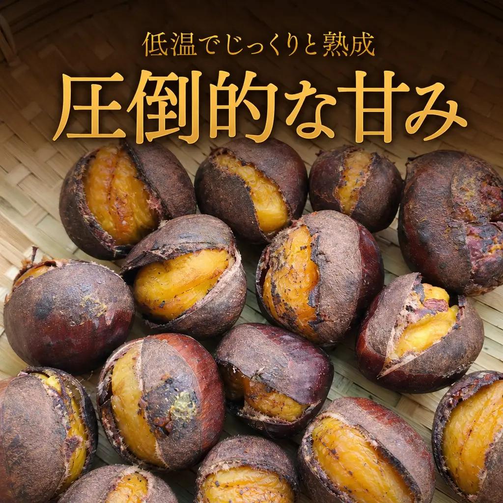 丹波焼き栗 400g 栗 