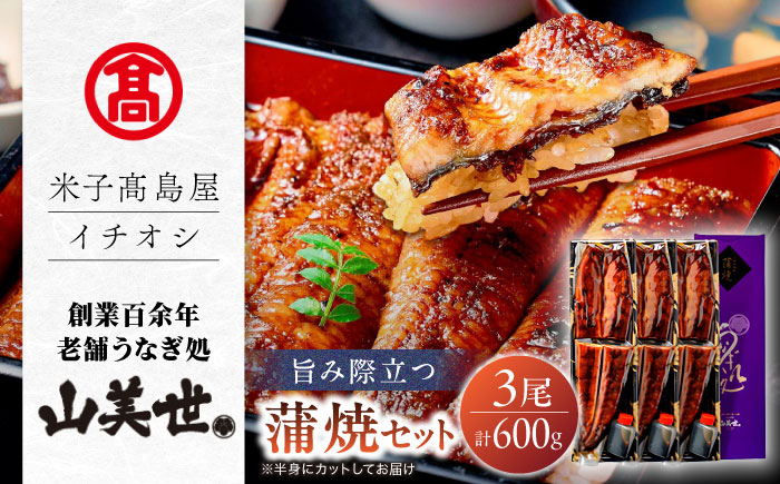 
            【米子高島屋選定品】[うなぎ処　山美世]うなぎ蒲焼3尾詰合せ MAT-AA4 島根県松江市/株式会社米子高島屋 [ALFD017]
          