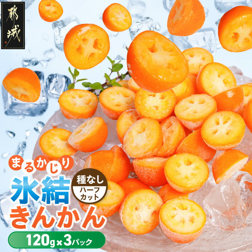 【ふるさと納税】まるかじり氷結きんかん≪種なしハーフカット≫3パック - 果物 急速冷凍 完熟きんかん 糖度16度超 スイーツ おやつ 小分け 冷凍きんかん 送料無料 11-J7-004-3 【宮崎県都城市は2年連続ふるさと納税日本一！】