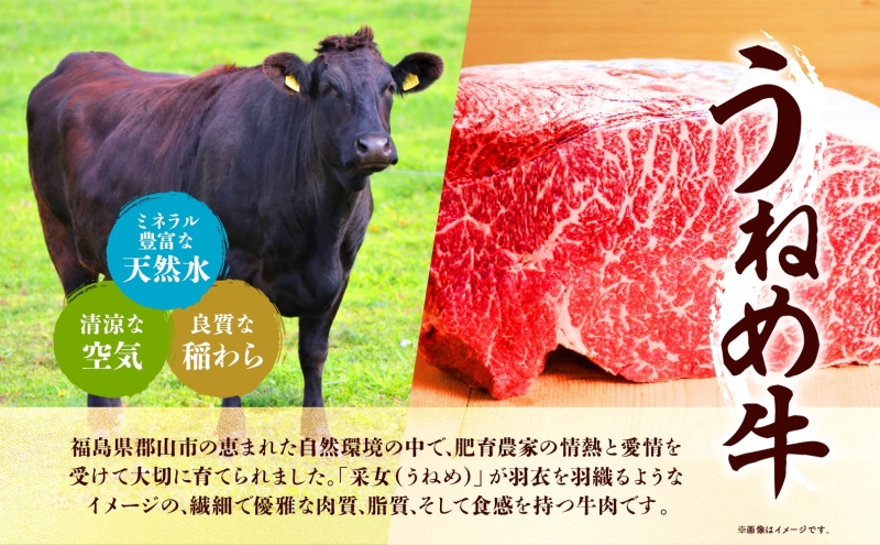 A5等級 うねめ牛 もも ステーキ 計600g 100g×6P 黒毛和牛 牛肉 お肉 雌牛 和牛 国産 牛肩 モモ 赤身 ステーキ 鉄板 肉厚 料理 焼き肉 焼肉 A5 お取り寄せ 人気 希少 高評価