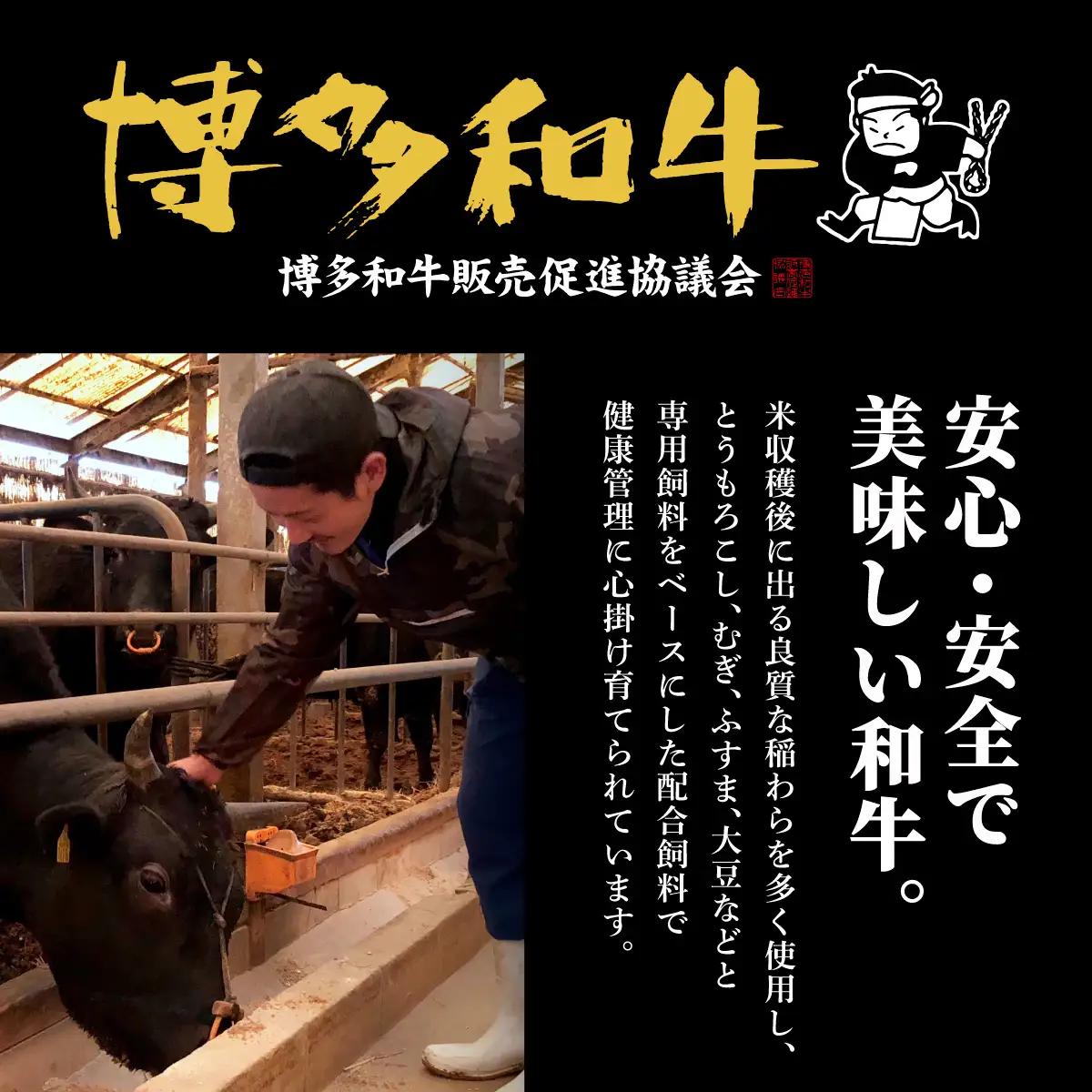 【博多和牛】ヒレ シャトーブリアン 200g×5枚 (ダイヤモンドカットで希少部位を堪能)【HD044】