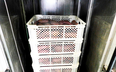 No.858 坂東市産　干し芋　紅はるか　100g×5パック