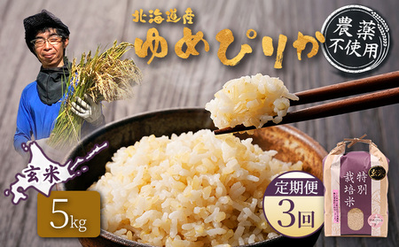 【2025年産】【定期便：3回】北海道産 特別栽培米 ゆめぴりか 玄米 5kg（無化学肥料・農薬不使用）【25138】