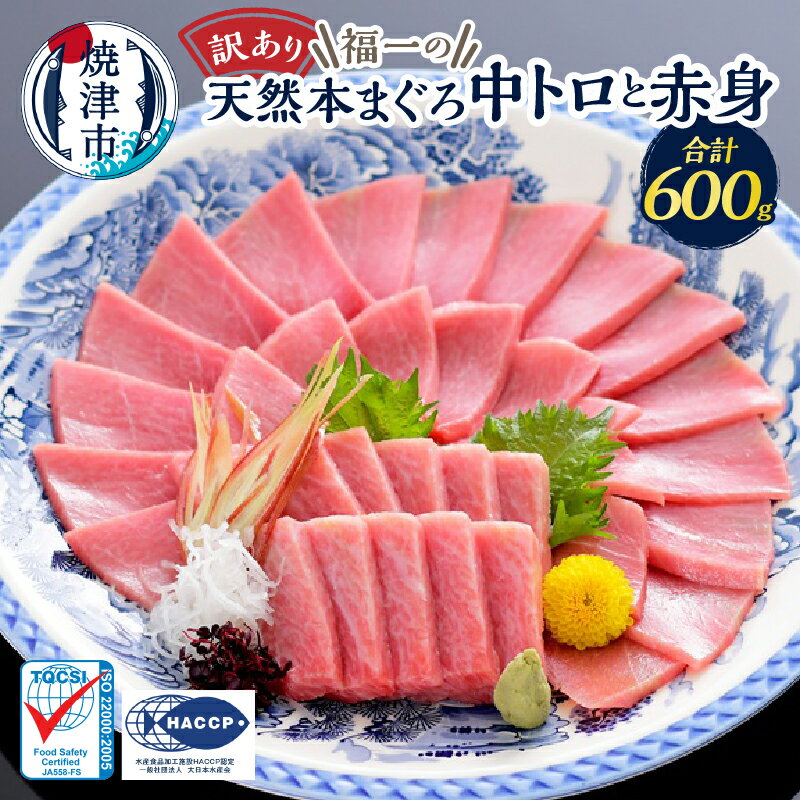 【ふるさと納税】 個数限定 訳あり 天然 まぐろ 本まぐろ 中トロ 赤身 セット 600g 魚 冷凍 焼津 a15-662