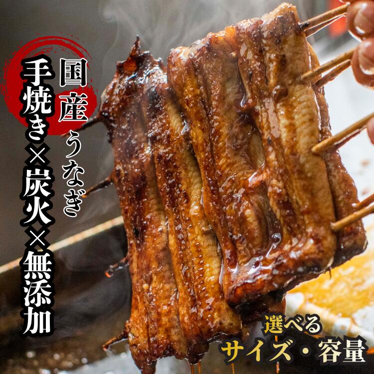 【ふるさと納税】【限定価格】国産 うなぎ 蒲焼 きざみ 炭火 手焼き 冷凍 無添加 真空パック 小分け 食べきり 関東風 蒸しあり 持続可能 A-AA-J13A