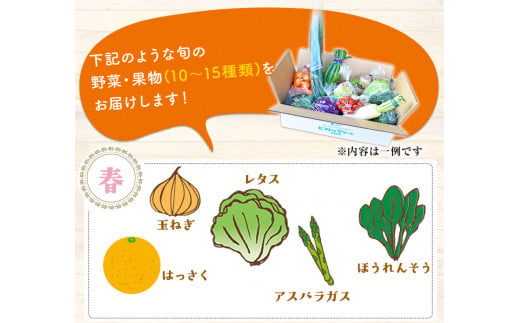 3ヶ月定期便 旬の新鮮野菜・果物詰合せセット10-15品目 《お申込み月の翌月から出荷開始》  道の駅竜北---sh_cmitiysibtei_21_63000_mo3num1---