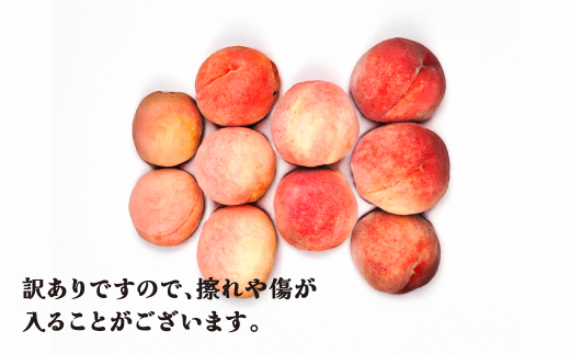先行予約 訳あり 桃 白桃 約5kg (10～25個程度) 無印品 8月上旬頃~10月中旬頃発送 山形県産 フルーツ 果物 くだもの 令和9年産 2027年産 佐竹物産 sb-mohtw5-a