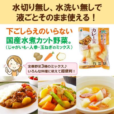 ふるさと納税 射水市 「うまみ丸ごと野菜 国産カレーの具 300g」×10袋 |  | 01