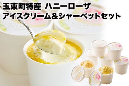 抜群の糖度と爽やかな酸味♪ハニーローザアイスクリーム＆ハニーローザシャーベット 120ml×各4個 《60日以内に出荷予定(土日祝除く)》熊本県玉名郡玉東町 すもも ハニーローザ アイス ぷらっとぎょくとう