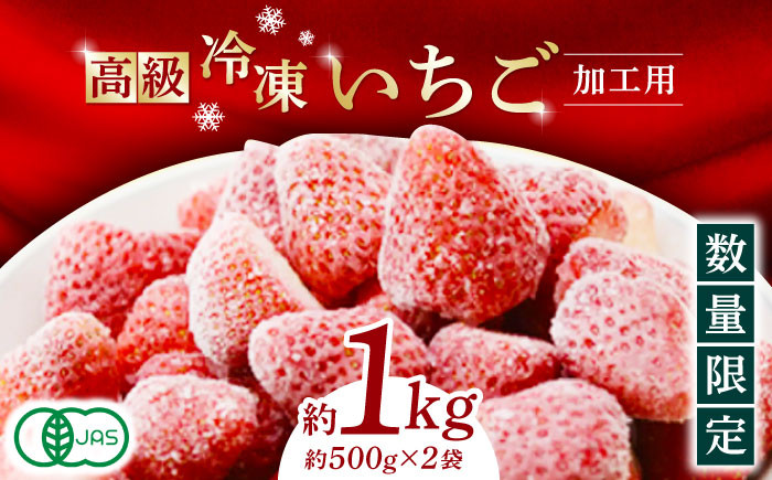 
            【数量限定】高級 冷凍  いちご 加工用 約1kg（約500g×2袋）【伊藤農園】 冷凍 いちご 冷凍いちご イチゴ 苺 オーガニック [ZBB003]
          