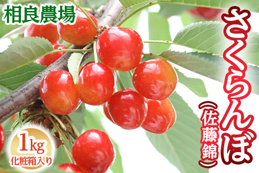 
            16-Q　相良農場　さくらんぼ（佐藤錦）1kg 化粧箱入り ｜福島県産 サクランボ　※2025年6月中旬～6月下旬頃発送予定
          