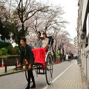 【ふるさと納税】えびす屋人力車　浅草下町巡り30分コースチケット 観光 旅行 おでかけ 案内 ギフト 体験