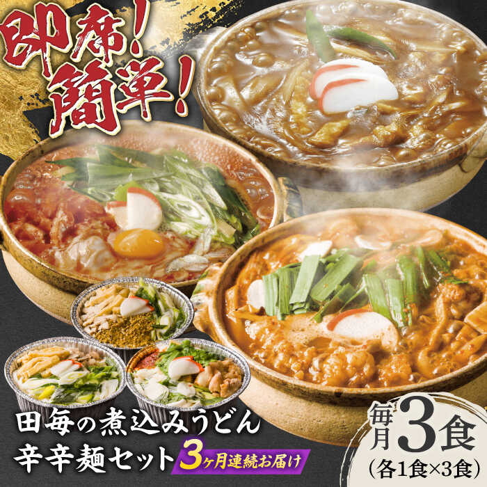 【ふるさと納税】【3回定期便】うどん 岐阜の味 田毎の煮込みうどん辛辛麺セット 即席 カンタン 麺 うどん カレーうどん ピリ辛味噌煮込みうどん ピリ辛 煮込みうどん 旨辛 冷凍麺 3ヶ月 定期便 詰め合わせ 食べ比べ 老舗 名店 ギフト 人気 岐阜市 / ラボレムス[ANFP012]