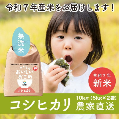 【ふるさと納税】【令和7年産・自家栽培・自家精米・農家直送】稲敷市産コシヒカリ　10kg(5kg×2袋)無洗米【配送不可地域：離島・沖縄県】【1653728】