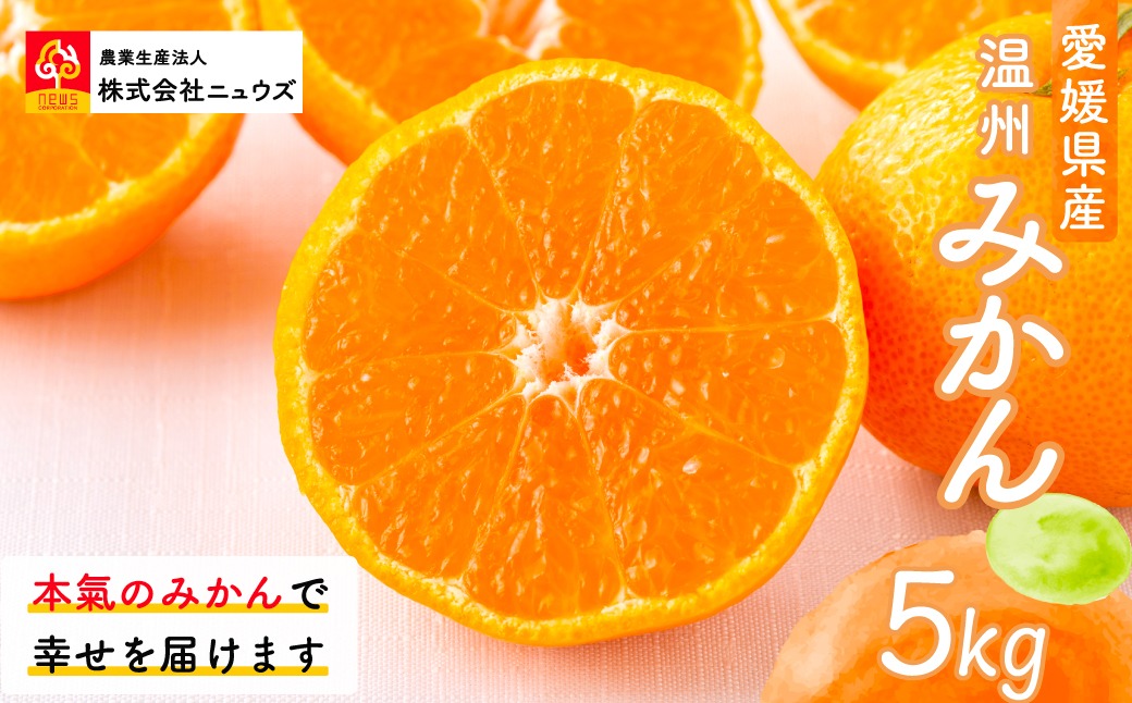 【先行予約】温州みかん（生果）5kg（2026年11月上旬より順次発送） IKTF013