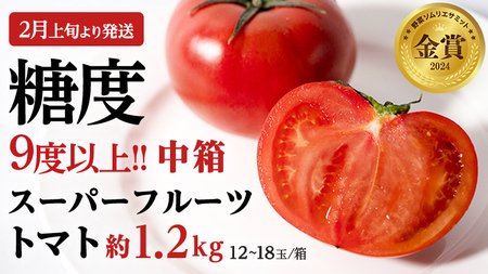 【12/31まで早期予約 特別寄附金額】糖度9度以上 スーパーフルーツトマト 中箱 約1.2kg × 1箱 （12～18玉/1箱） フルーツトマト トマト 2025年2月上旬発送開始 とまと 野菜 [BC002sa]