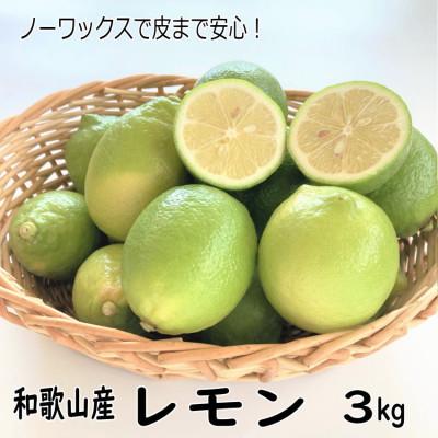 ふるさと納税 御坊市 和歌山産レモン/グリーンレモン 約3kg