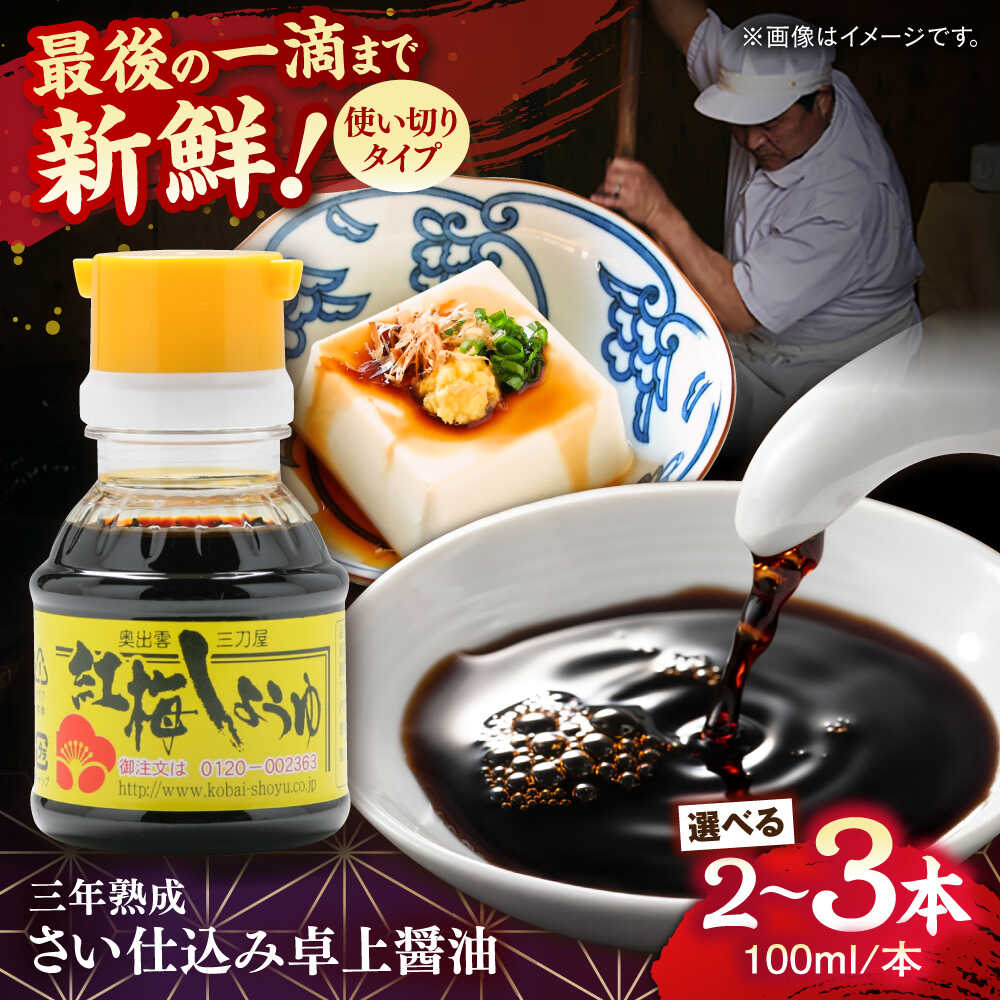 【ふるさと納税】【年内発送】【選べる容量】すぐに贅沢、一滴から。さい仕込み卓上醤油100ml｜ 調味料 醤油 卓上醤油 しょうゆ こいくち うすくち ギフト 詰め合わせ お歳暮 島根県雲南市/有限会社紅梅しょうゆ[AICV037]