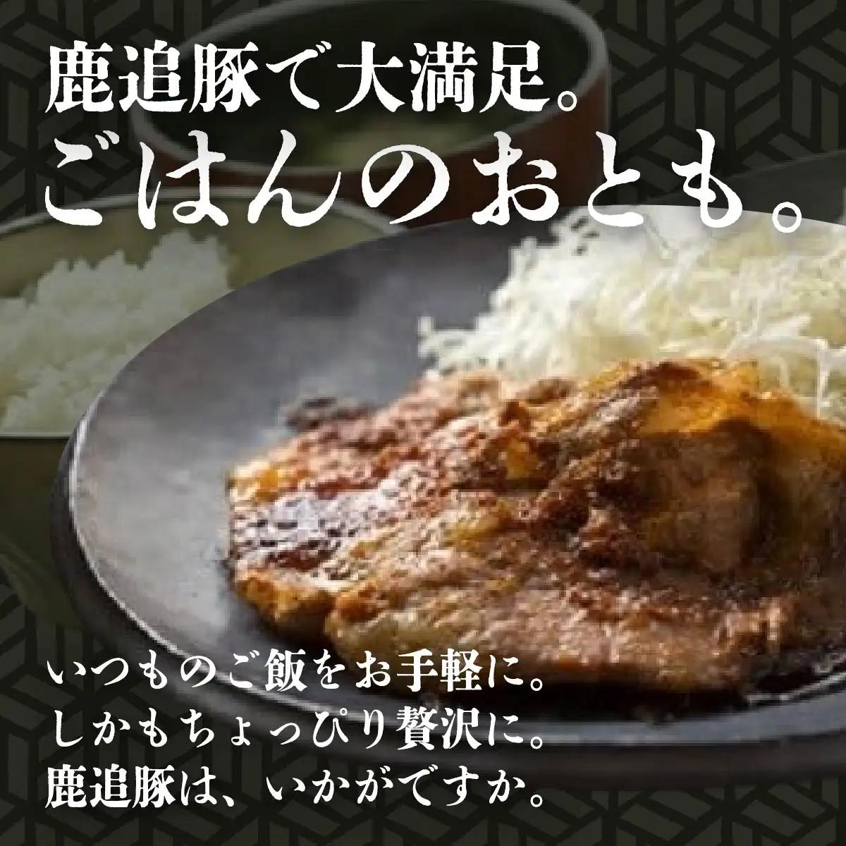 生姜焼き・豚ジンギスカン（鹿追Ｅセット） 【  北海道 鹿追町 送料無料 】 SKA002