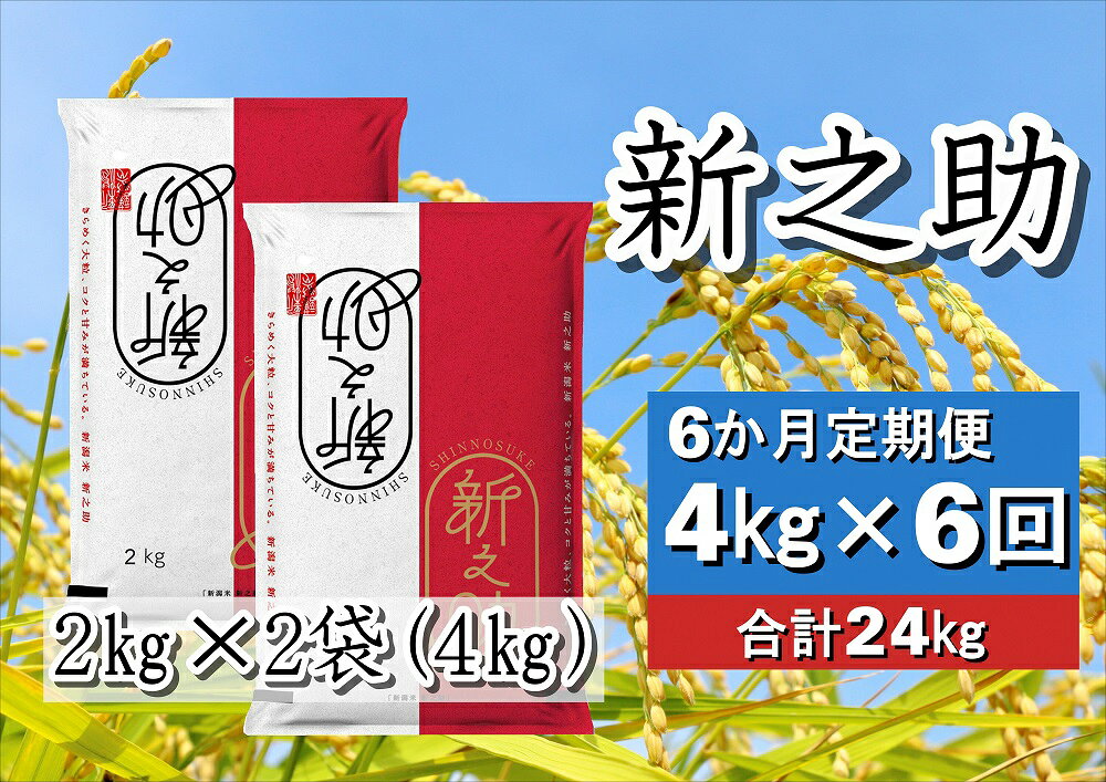 【ふるさと納税】【令和8年産新米予約】 ≪6か月定期便≫ 新潟県産 新之助 4kg×6回 計24kg 大粒 粘り 張り 旨味 冷めても硬くなりにくい 白米 精米 井上米穀店 新潟県 米 こめ コメ 新米 新米予約 令和8年度産 11月上旬より順次発送予定