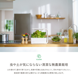 IZUMI　水耕栽培キット Hugvege　SA-H133A-W　（本体、培地スポンジ、液肥、ランダムタネ2種類）| 植物 野菜 育成 園芸 家庭菜園 長野県 松本市 ふるさと納税