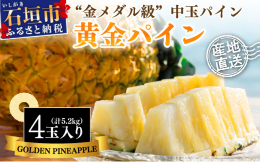 ＜先行予約＞ 石垣島産 黄金パイン 中玉 4玉 約5.2kg ＜2026年7月以降発送＞【 産地直送 沖縄 石垣 フルーツ パイナップル パイン 黄金パイン 】 SI-122 中玉 4玉 約5.2kg