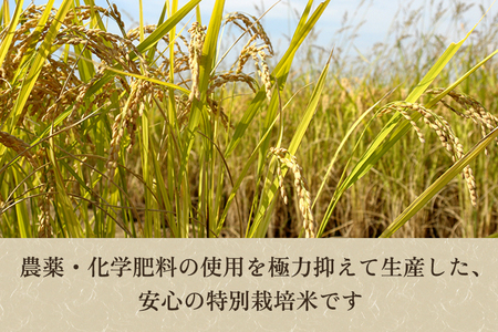 【令和5年産米】【7分づき】新潟県加茂市産 特別栽培米コシヒカリ 精米5kg 従来品種コシヒカリ 加茂有機米生産組合 コシヒカリ 新潟県産コシヒカリ 米 お米